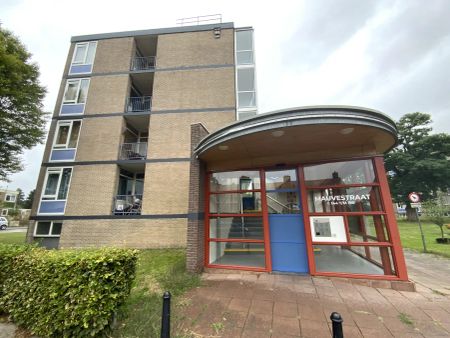 Appartement de 2 chambres Mauvestraat, Apeldoorn - À Louer - Photo 3