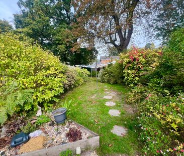 3 bedroom house to rent - Photo 2