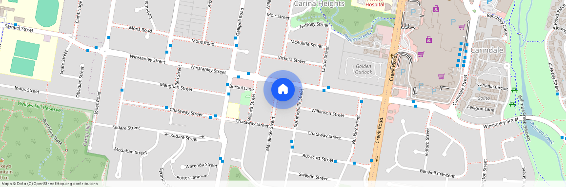 10 Macalister Street, Qld 4152, Carina Heights