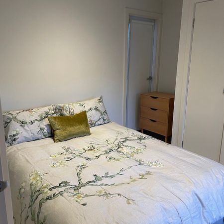 Seddon - Photo 3