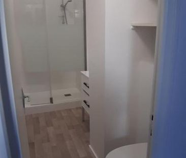 Location Appartement 1 pièce 24m² ANGERS 49100 - Photo 6