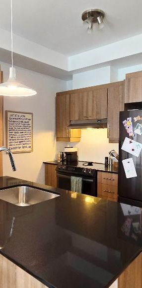 condo modern a louer à Sainte-Therese - Photo 1