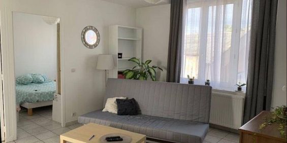 Location appartement 3 pièces 48.3 m² à Sainte-Colombe (69560) 4 - Photo 3