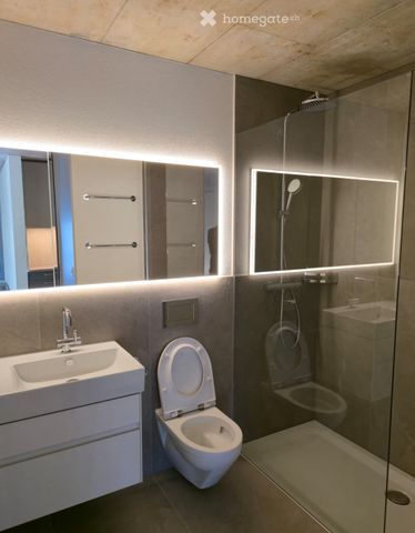 Moderne 4.5-Zimmer-Neubau-Wohnung in Wohlen AG - Foto 3