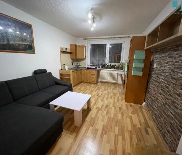 nabízí, pronájem, byty 3+kk Novodvorská, Třebíč - Nové Dvory - Fotografie 1