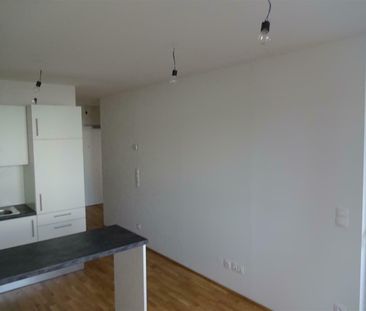 Prov-Frei - 2 Zimmer + Loggia in der Niesenbergergasse - Foto 1