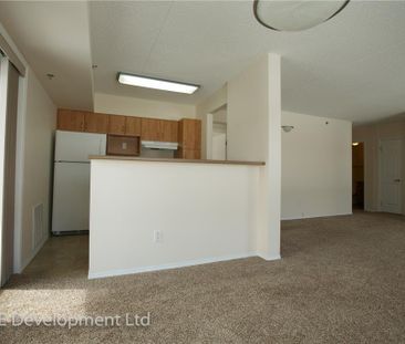 1 Bedroom (Small) - Photo 6