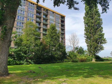 Appartement te huur: Lisdoddelaan 36 1562 SM Krommenie - Photo 5