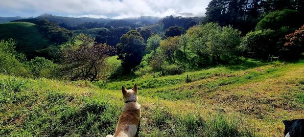 Basket Range - Photo 1