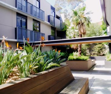 Studio Regular - Photo 5