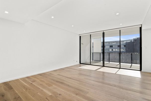 Spacious & Sun-Filled Apartment - Photo 1