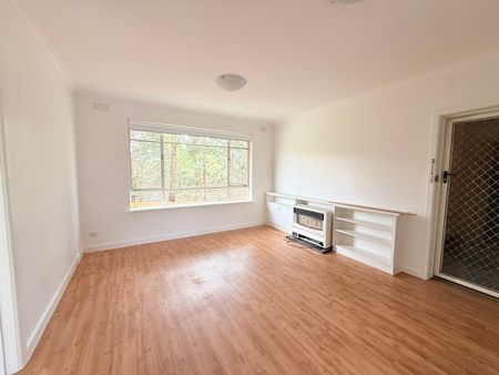 4/33 Carmichael Street, Ivanhoe East - Photo 3