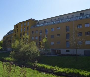 Sunny apartment in a well-maintained property with a lot of charm - Photo 5