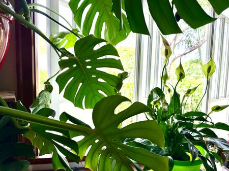 East Ipswich - Photo 2