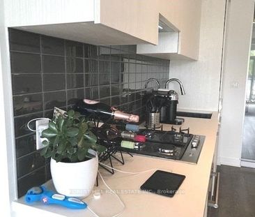 109 OZ Lofts , #416 - Photo 6