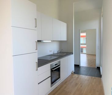 Toller unverbauter Grünblick in den Prater - Foto 1