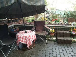 $1200 / 1br – 736ft2 – Spacious 1 bedroom in Village Square (Coquitlam) - Photo 5