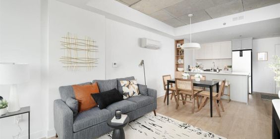 Bachelor - 240 Rue Notre-Dame Ouest, Montréal - Photo 3