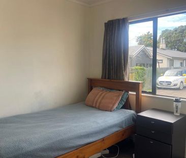 Tidy and compact property in Te Puke - Photo 4