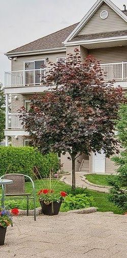 MAGNIFIQUE CONDO 4 1/2 À STE-THÉRÈSE DANS UN DÉCOR EXTÉRIEUR TOUT EN VERDURE PRÈS DE TOUS LES SERVICES QU'OFFRE UNE BANLIEUE! - Photo 1