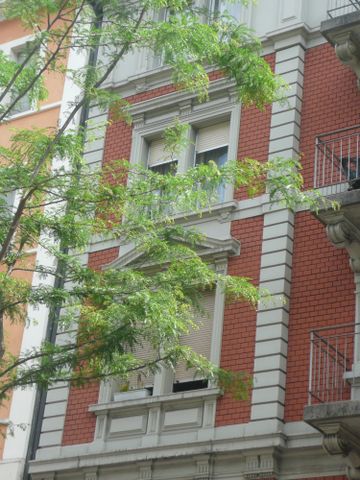 4.5 Zimmer, 123 m², 3. Stock - Photo 4