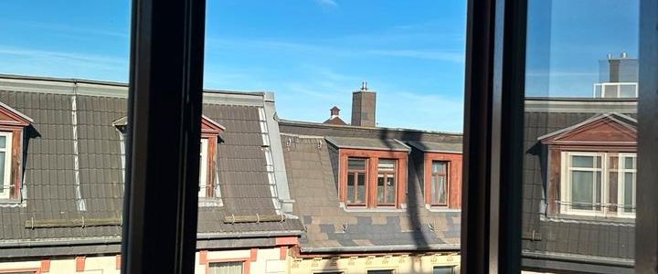 Nette Nachmieter für 2 Raum Wohnung in Kleinzschocher gesucht - Photo 1