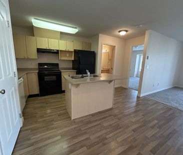 JENNA LEE - 301 - JL301 - Photo 6