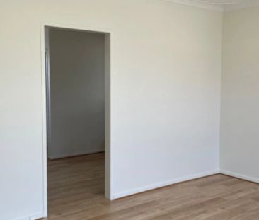 Spacious and Super Affordable ! 2 Bedroom Unit in the heart of Otto... - Photo 6