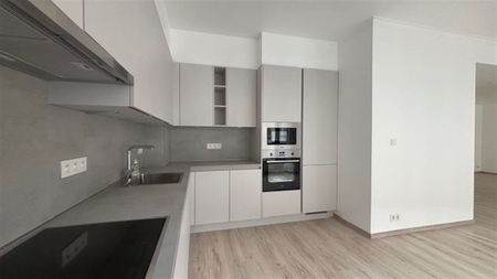 Gloednieuw gerenoveerd appartement in centrum Antwerpen - Foto 4