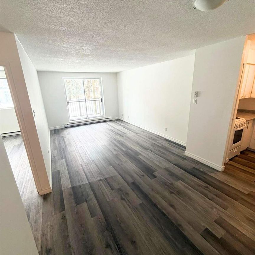 2 CH - 1 SDB - Gatineau - $1,799 /mo - Photo 1