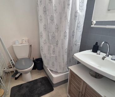 Location Appartement 1 pièce 26m² ST JEAN DE BRAYE 45800 - Photo 6
