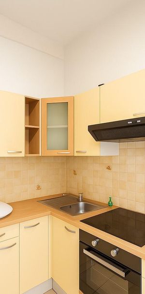 Location Appartement 2 pièces 51m² MACON 71000 - Photo 2