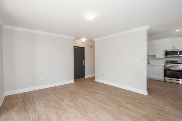 Spacious 1 Bedroom Apartment in Welland - Photo 1