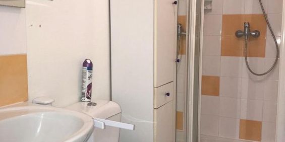 Location Appartement 1 pièce Meublé 25m² BREST 29200 - Photo 3