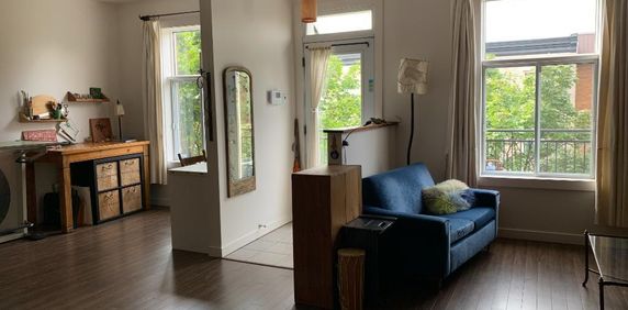 Luxueux 1000 pi² avec Foyer au gaz dans HOMA - Photo 2