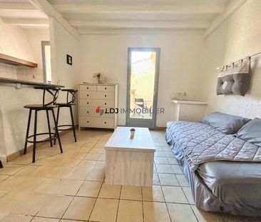 Location Appartement 1 pièce 25m² AMELIE LES BAINS PALALDA 66110 - Photo 6
