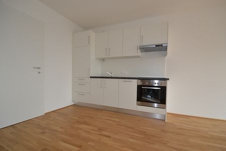 Annenviertel / Zentrum – 55 m² – großer Südbalkon – 2 Zimmer – Schlossbergblick – ab sofort - Photo 4