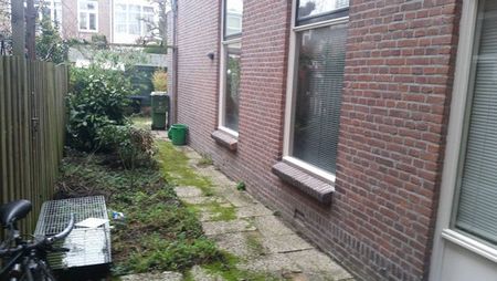 Anton de Haenstraat - Photo 5