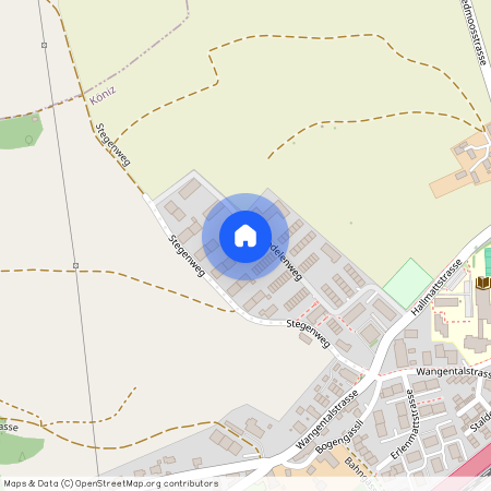 Bodelenweg 101, 3172 Niederwangen BE