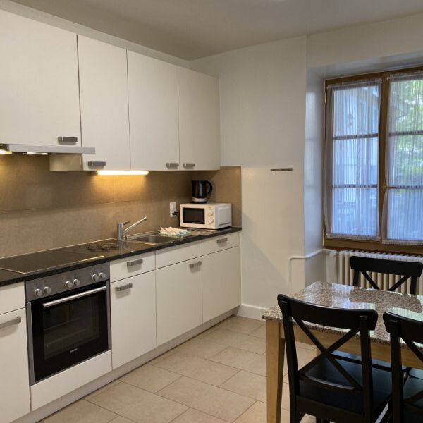 Bel appartement meublé de 4 pièces à Carouge (Genève) - Photo 1