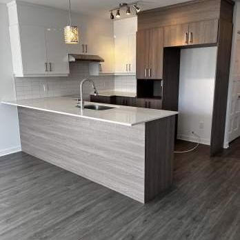 2 CH - 1 SDB - Laval - $1,800 /mo - Photo 4