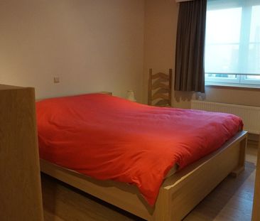 Ruim appartement met 3 slaapkamers te huur in Sint-Amands - Foto 6