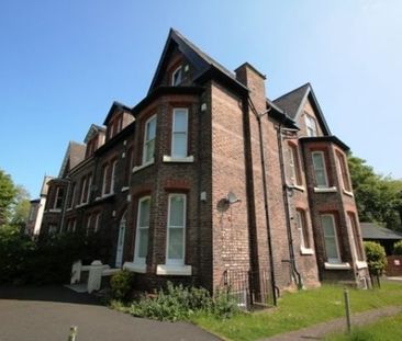 1 Bed Flat, Sefton Park Road, L8 - Photo 3