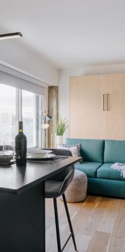 Loft entièrement meublé à louer Saint-Jean-Baptiste juillet 2026 - Photo 1