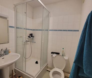 Location Appartement 1 pièce 17m² BREST 29200 - Photo 2