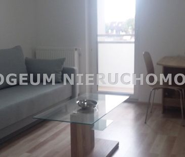 Mieszkanie na wynajem - Zdjęcie 2