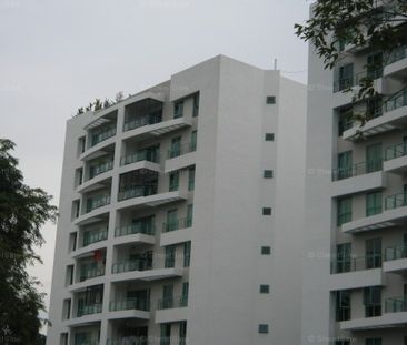 Southaven II (D21), Condominium - For Rent - Photo 5
