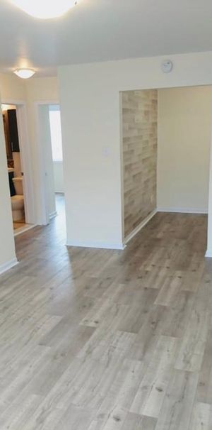 3 1/2 TOUT RÉNOVÉ, CHAUFFAGE ET EAU CHAUDE INCLUS, DISPONIBLE JUILLET - Photo 1