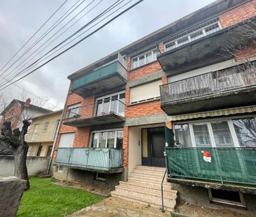 Location Appartement 3 pièces 60m² TOULOUSE 31400 - Photo 2