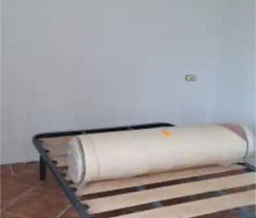 Barro - Photo 2